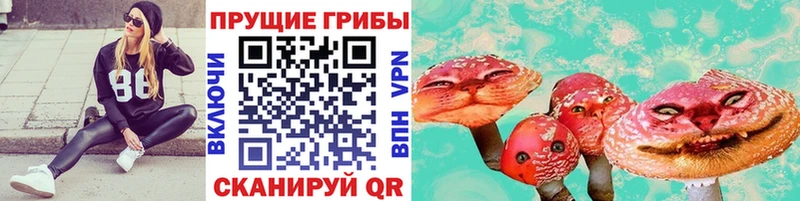 Галлюциногенные грибы мицелий  Коряжма 