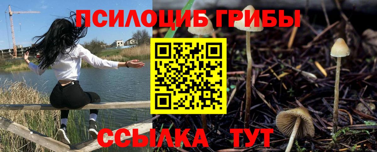 Галлюциногенные грибы GOLDEN TEACHER  Вход с VPN  Коряжма 