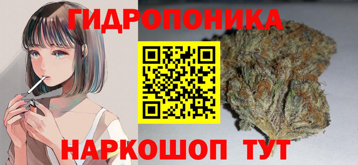 Каннабис сатива  Канабис ГИДРОПОН  Коряжма  Конопля LSD WEED  Вход с VPN 